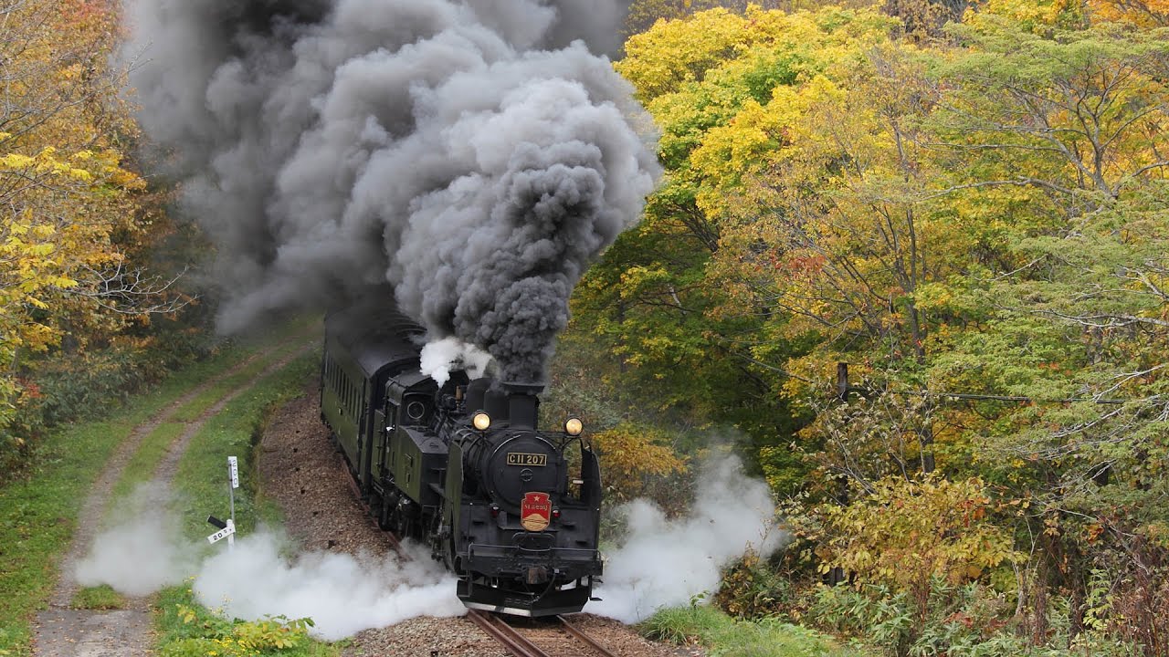 総集編】 北海道のSL列車 C11 207号機 & C11 171号機 走行集 / JR