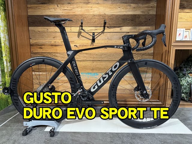 2025 GUSTO（グスト）・DURO EVO DB SPORT TE（デューロエボディスク