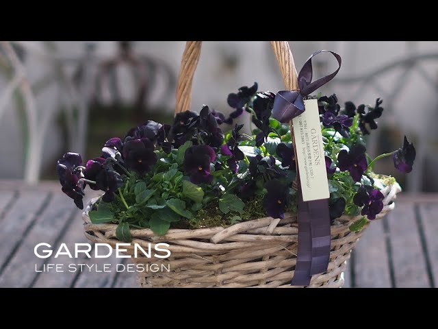 Limited Edition GARDENS Black Viola Basket: Chic Nordic Basket