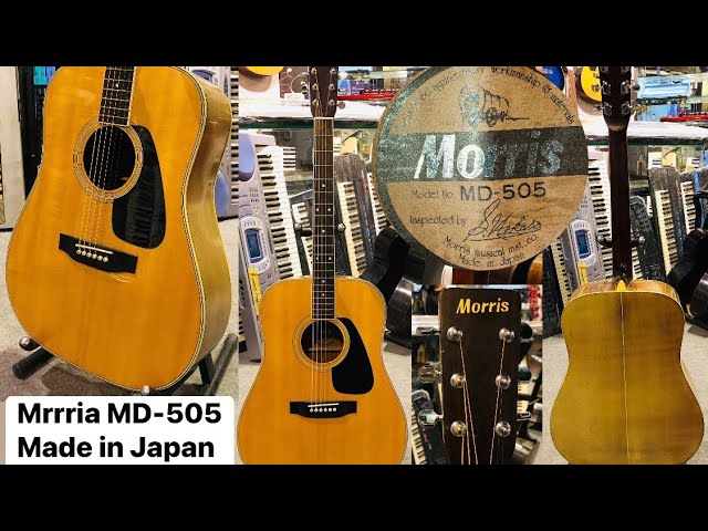 Morris MD-505 jumbo acoustic guitar Made in Japan ( Wilson's music
