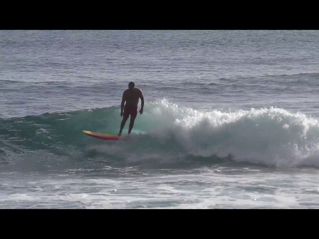 コストコ スポンジボードの上手な乗り方 ウェーブストーム costco