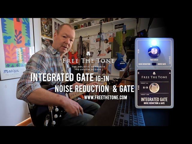 Free The Tone: INTEGRATED GATE IG-1N Noise Reduction & Gate - YouTube