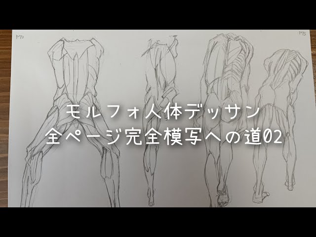 モルフォ人体デッサン全ページ完全模写への道02 - YouTube
