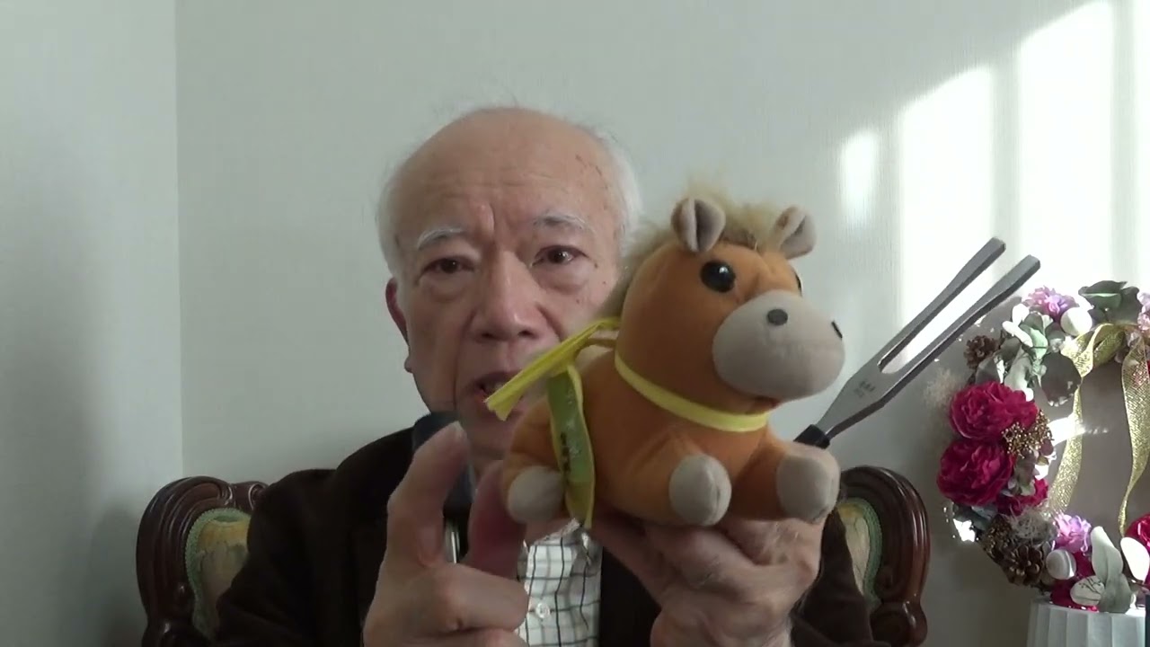 ペット専用チューナー「ザ・ペット」 - マドモアゼル・愛公式ショップ