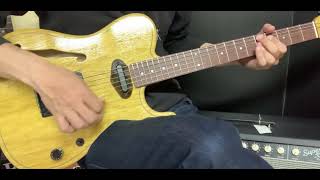 Deviser ROSETTEE KORINA SP'24/NJ KNY-NB【商品紹介@Guitar Planet