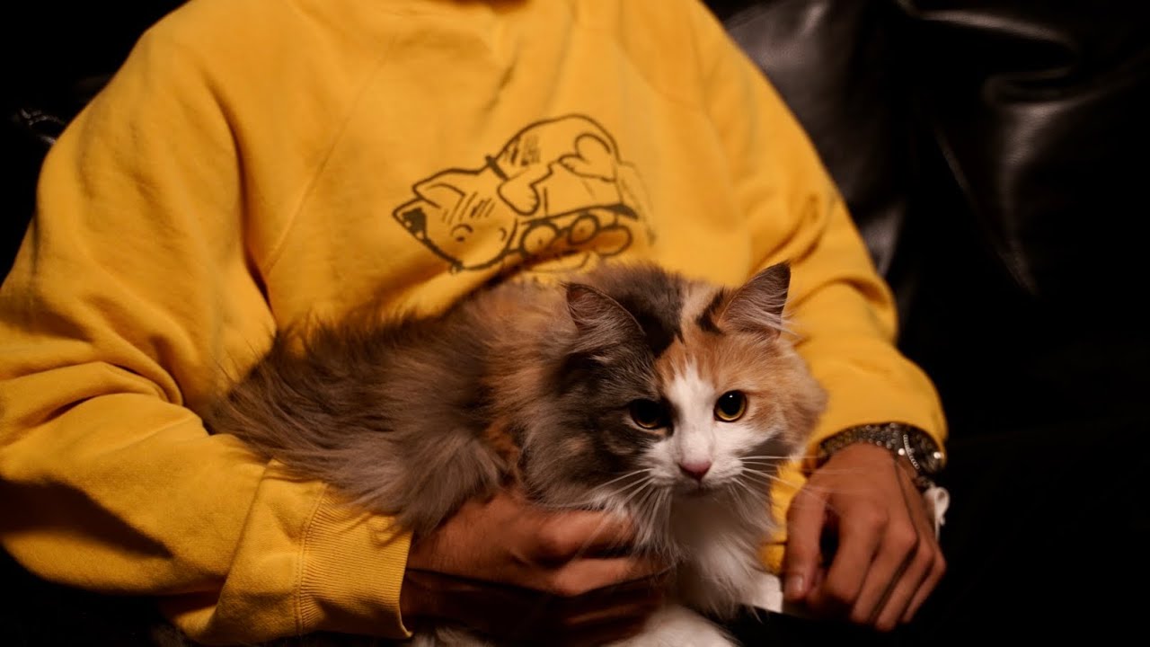 MAATEE&SONS 25SS 受注生産 別注スウェットを紹介してみた。 - YouTube