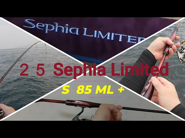 買ってみた。セフィア リミテッド S 85 ML+ #セフィアリミテッド