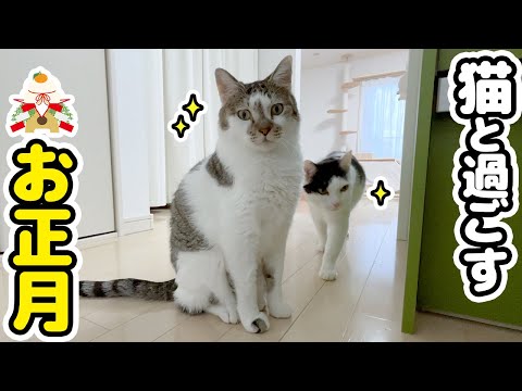 A blissful time spent relaxing with my beloved cat ~New Year's