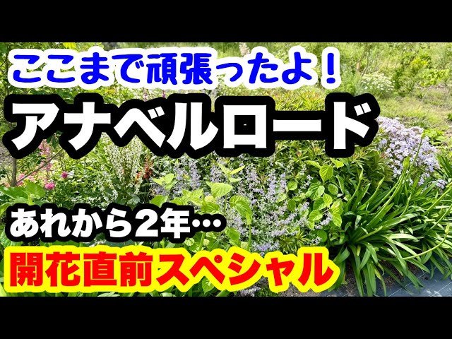 □This is [Annabell Road] 