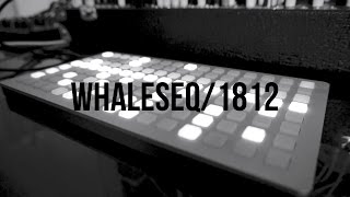 Monome White Whale - Eurorack Module on ModularGrid