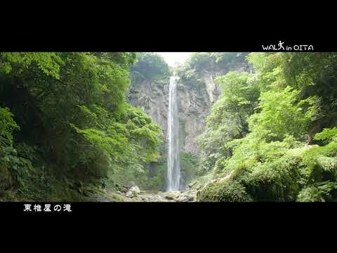 WALK in OITA #8 東椎屋の滝 4K 宇佐市 - YouTube