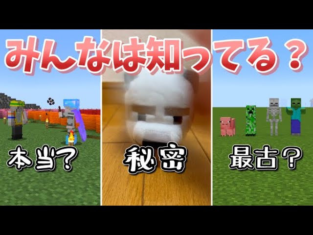 Verification] Shorts Summary - Is it true? / The secret of