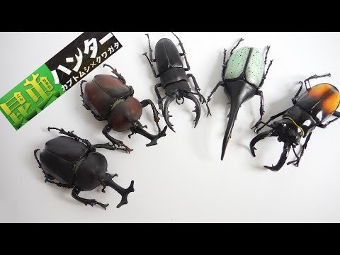 2017 スーパーリアル!! 昆虫ハンター カブトムシ×クワガタ 全5種 開封