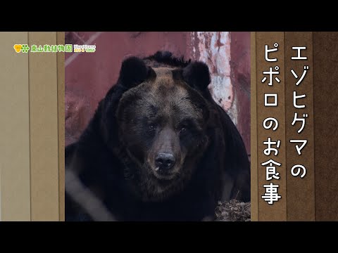 Higashiyama Zoo and Botanical Gardens Official] Introducing the