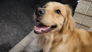 Actually, it's dangerous! Living in an old-fashioned neighborhood