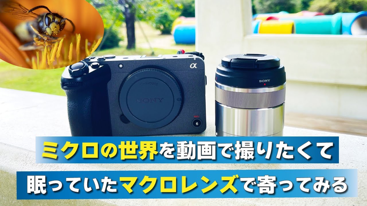 3万円のマクロレンズで寄って動画を撮ったらどう映る？Sony E30mm F3.5