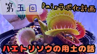 Part 5] Venus flytrap soil and improving the environment