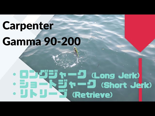 Carpenter γ Gamma 90-200 Reviews,Action,Swimming. - YouTube