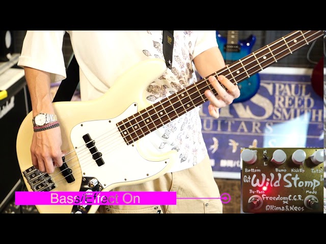 島村楽器限定モデル FREEDOM CUSTOM GUITAR RESEARCH Wild Stomp 
