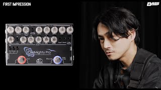 Vivie】OwlMighty Pro × 武田祐介（RADWIMPS） | ベース・マガジン