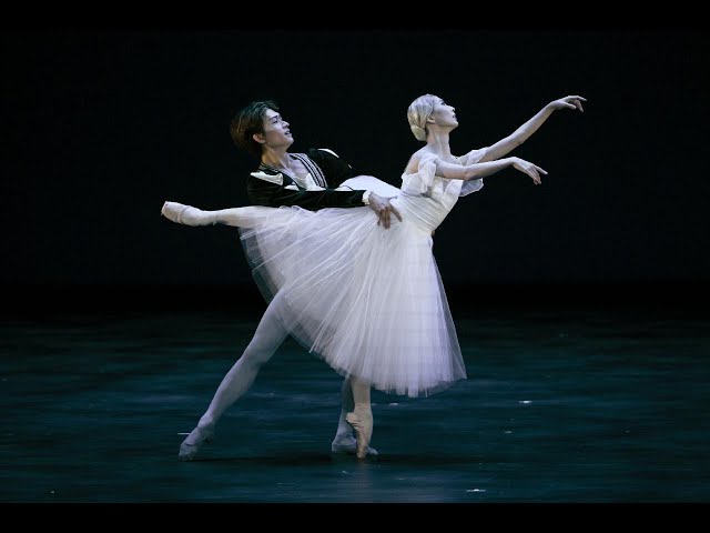 大倉陶園 バレー ジゼル 大倉陶園 バレー ジゼル 大倉陶園 バレー