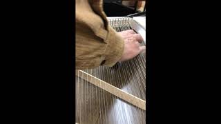 SANSOライアー 天音 あまね (37弦)