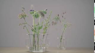 FRITZ HANSEN IKEBANA VASE SMALL / フリッツ・ハンセン イケバナ