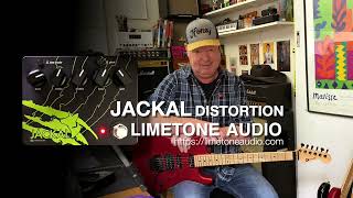 台数限定)(イシバシ楽器限定モデル) Limetone Audio / JACKAL Navy