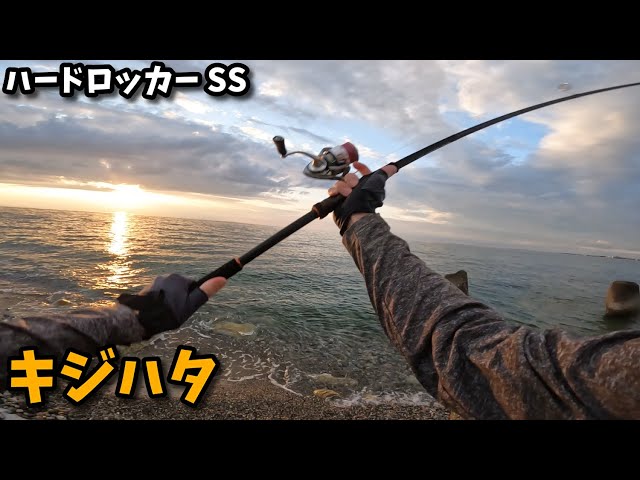 Hard Rocker SS Review] S810MH catches red snapper in areas with