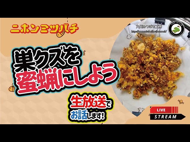 巣クズを蜜蝋にしよう【二ホンミツバチ飼育Q&A】 - YouTube