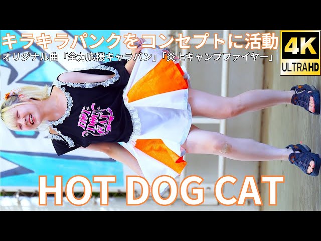 ①【4K/60p】HOT DOG CAT（Japanese idol group）『IDOL Treasure