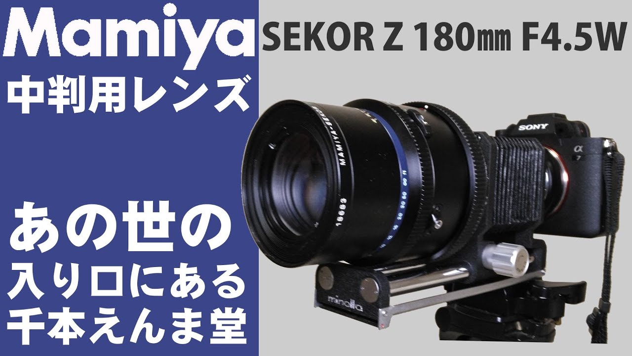 Mamiya medium format camera lens and bellows 