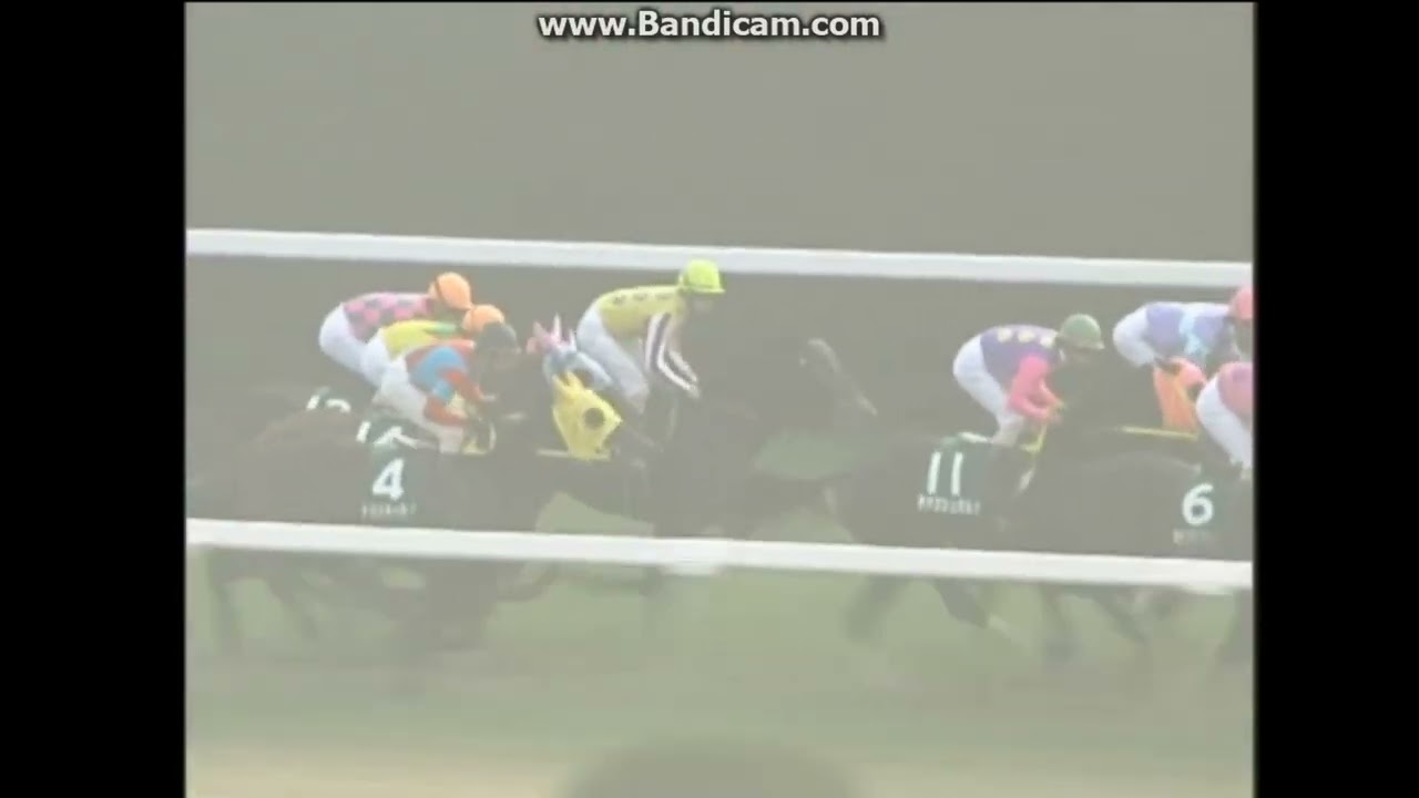 2002 シンザン記念(GIII) タニノギムレット - YouTube