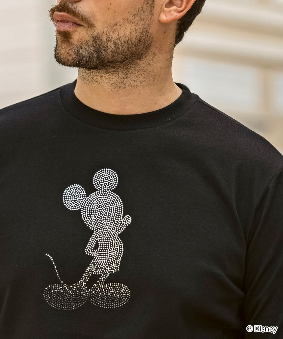 1PIU1UGUALE3 RELAX - 【ミッキーマウス】グラデーションライン