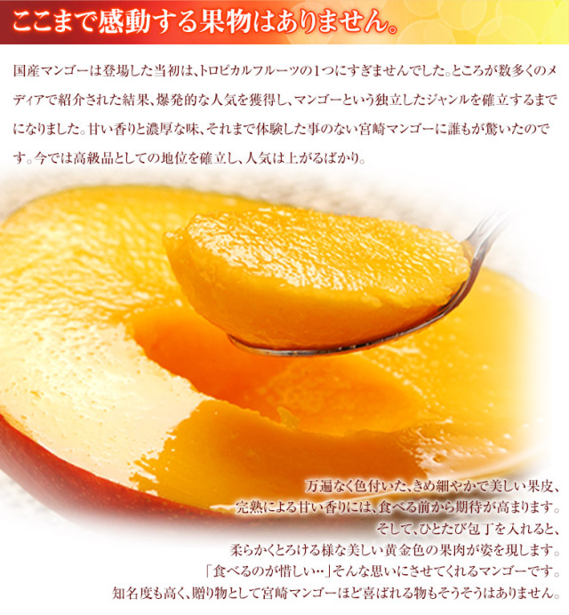 芳醇な香りと濃厚な甘さが特徴の高級フルーツ・宮崎マンゴーが今年も登場！