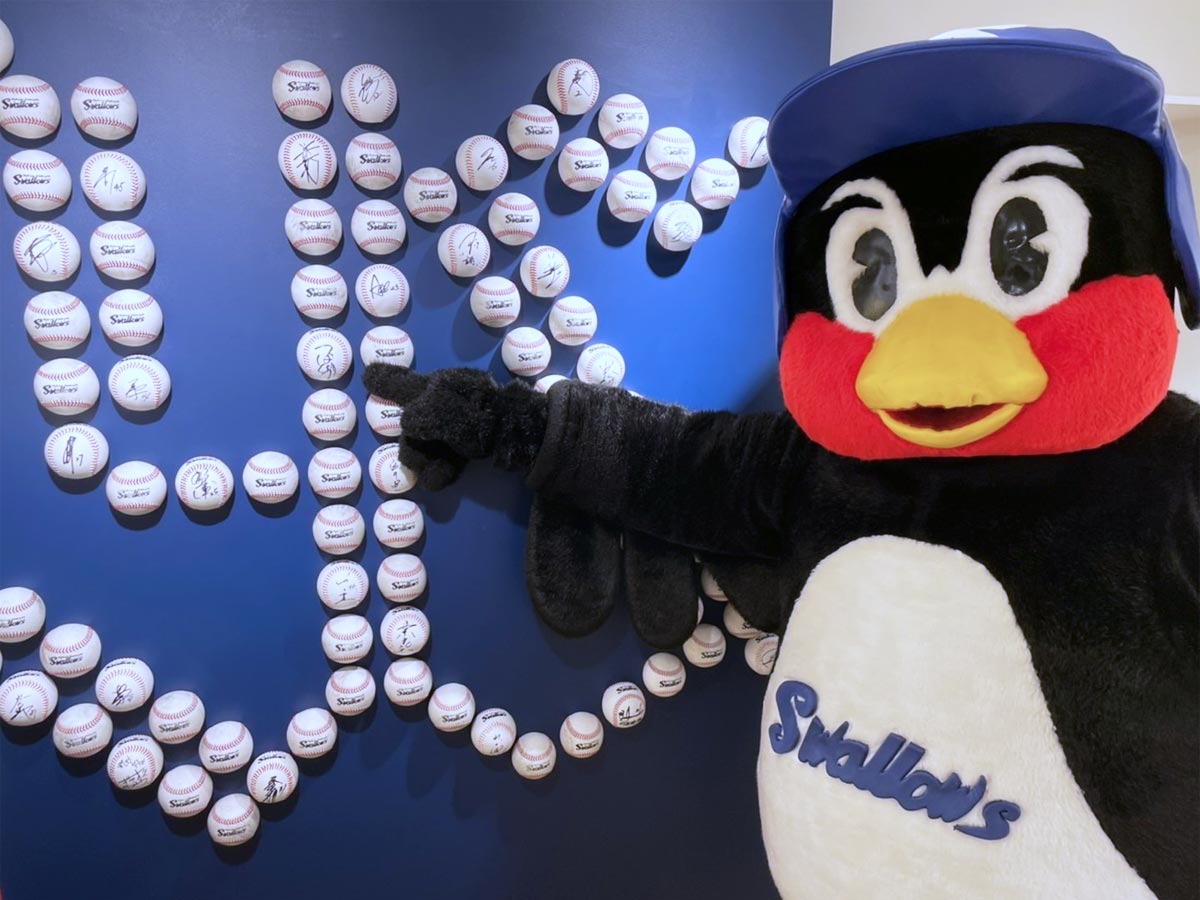 YS」ロゴにはつば九郎のサインボールも＝つば九郎、明治神宮外苑内に