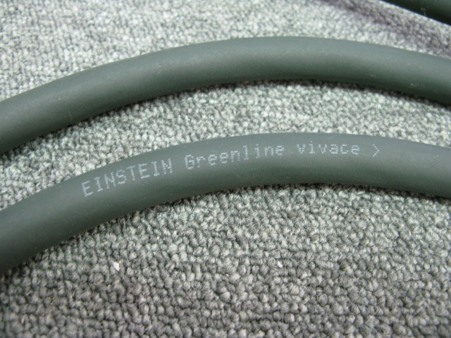 Greenline vivace/1.8m EINSTEIN - 中古オーディオ 高価買取・販売