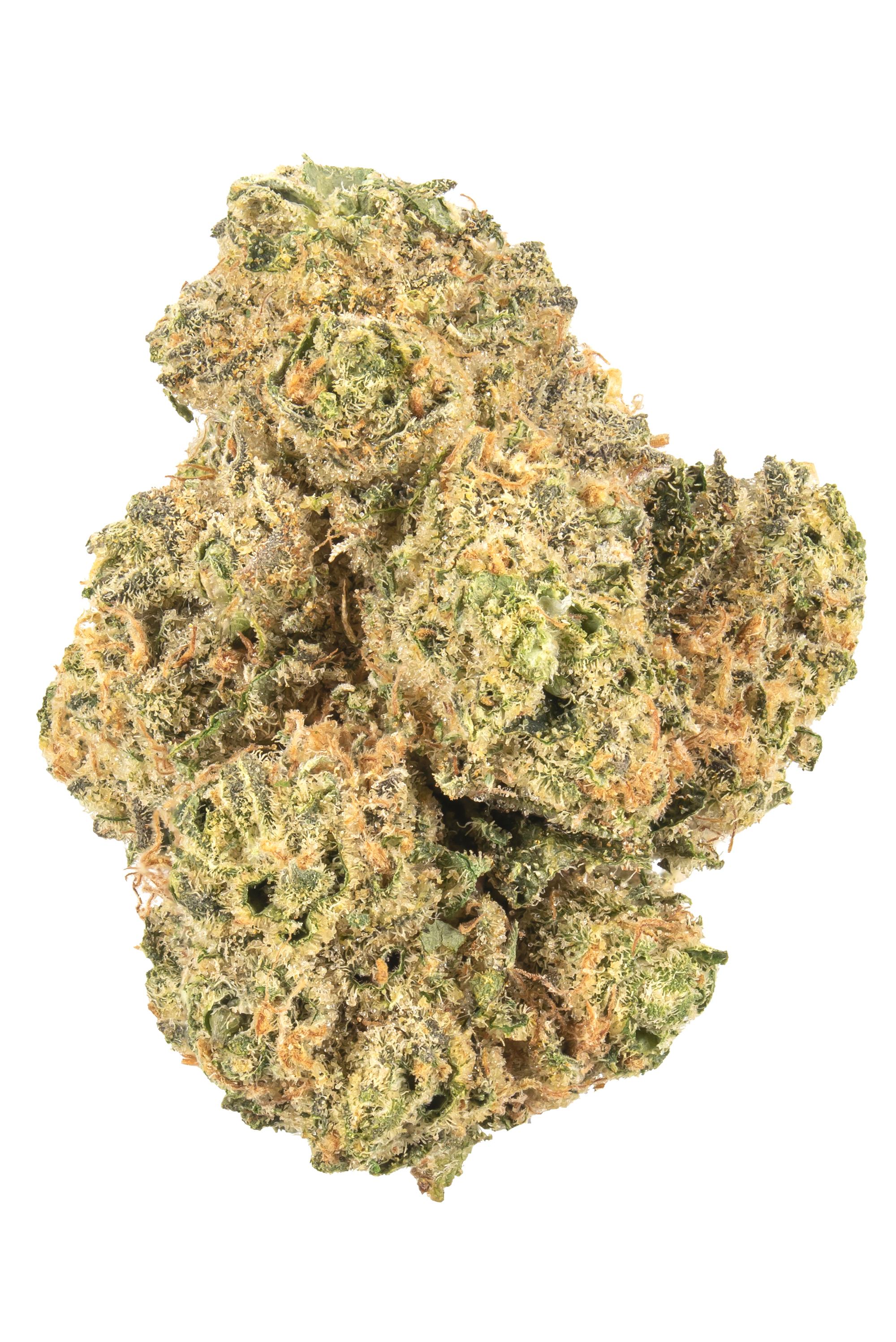 ディグダ】OGKush 10 SweetSkunk 10 Original Z x OG Strain - Hybrid