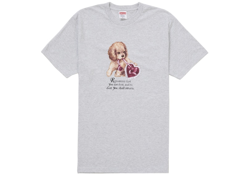 Supreme Dust Tee Ash Grey Men's - FW25 - US