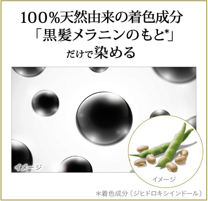 リライズ 白髪用髪色サーバー グレーアレンジ ふんわり仕上げ 本体