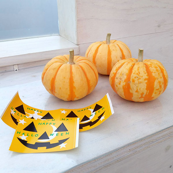 園芸ネット本店｜ハロウィン用おもちゃかぼちゃ：プッチィーニLシール