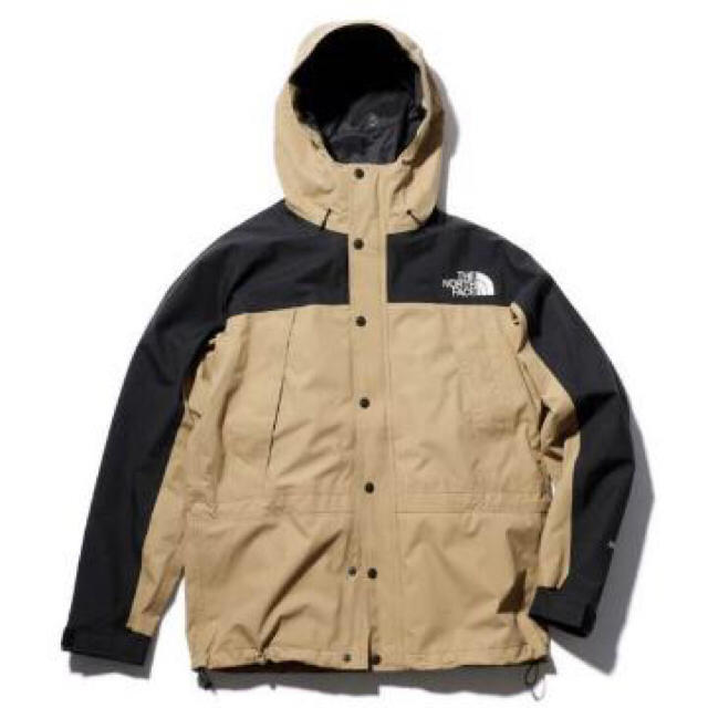 THE NORTH FACE - 国内正規 Lサイズ ノースフェイス マウンテンライト