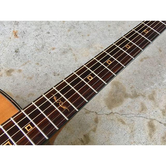 AriaCompany - 国内未発売モデル！上位機！ARIA サンドパイパー