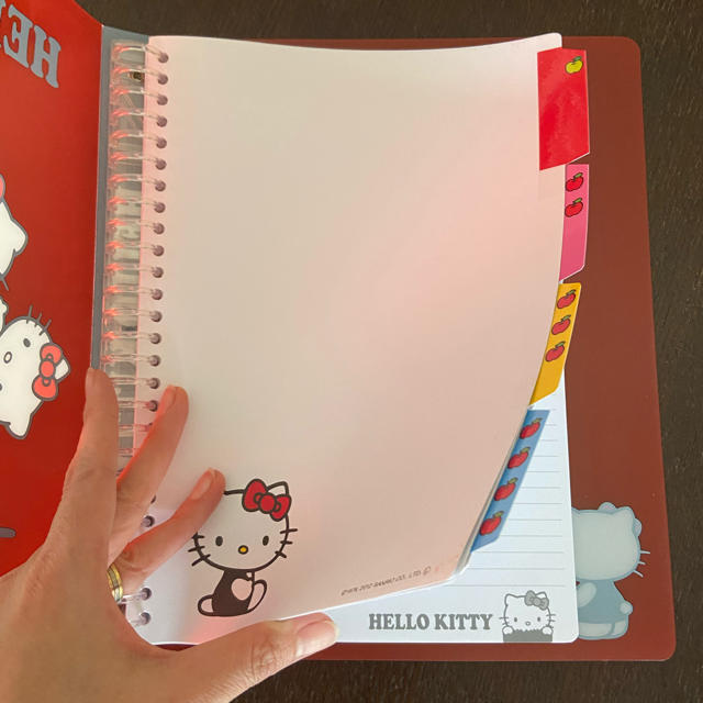 ハローキティ - HELLO KITTY バインダー ルーズリーフファイルの通販
