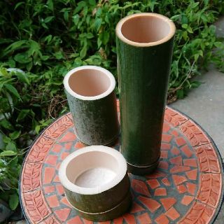 1103643776.jpg?1609062249