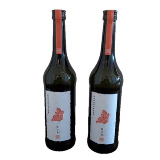 新政 - 新政 新政酒造 亜麻猫 2025年5月出荷 最新 新政 十四代 而今 田