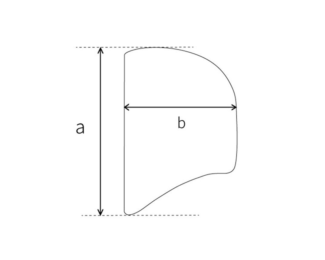 Exclusive stores limited No.EX-24208-01 BLACK - キジマ タカユキ