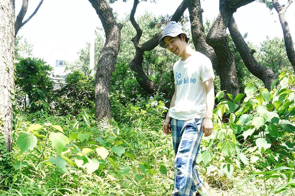 次回再入荷予定未定】うだまさし/サクラ/壁掛けサンカク（S） - BOWKNOT