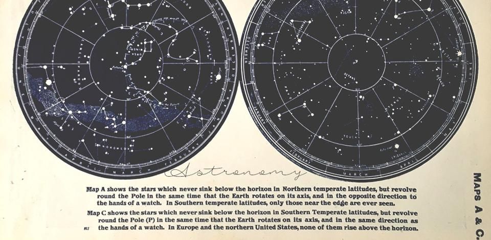 星座・天文学 Astronomy - アンティーク ヴィンテージの古いプリント