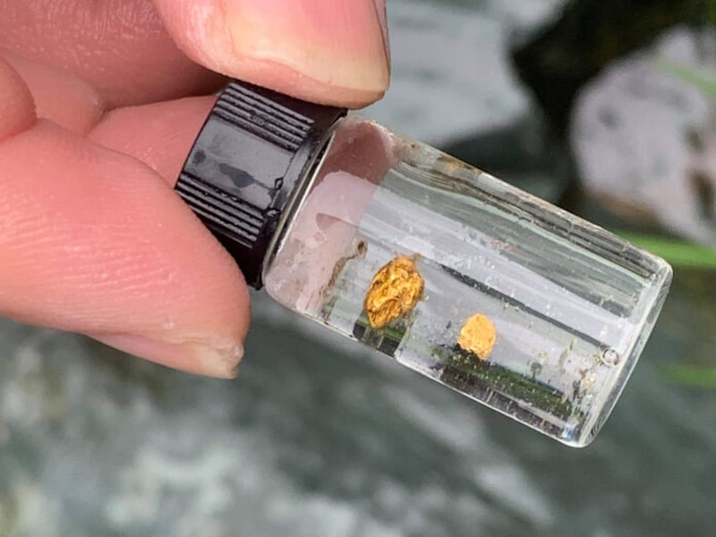 2/2 実は「金」より高価格？ 密かにブームの「砂金採り」 名人が教える